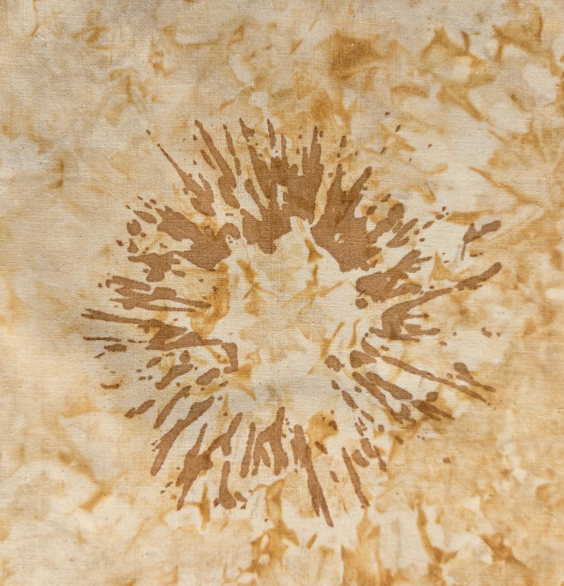 20250310_095148